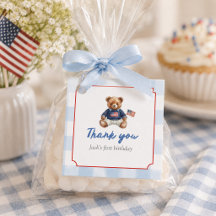 Preppy Amerikaanse Teddydbeer Blauw Gingham Jongen