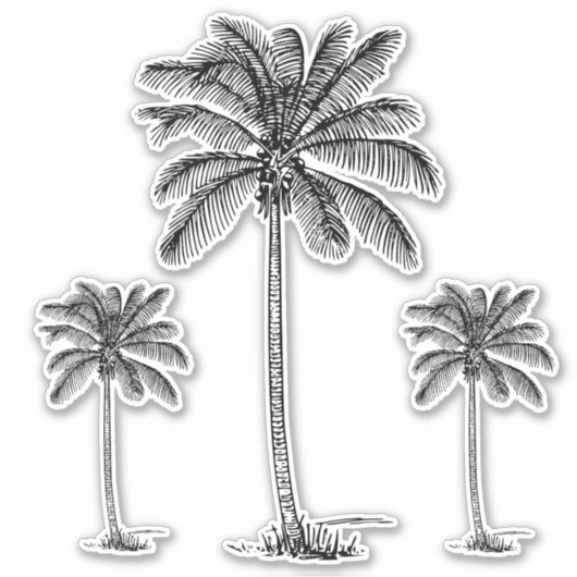 Preppy Black Coastal Palmetto Palmbomen Sticker (Voorkant)