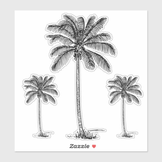 Preppy Black Coastal Palmetto Palmbomen Sticker (Vel)