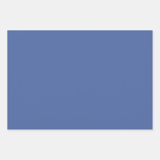 Preppy Coquette Bow Dusty Blue Line Drawn Wrapping Inpakpapier Vel (Voorkant 3)