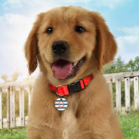 Preppy Gestreepte Slate Blue Monogram ID Dog Label