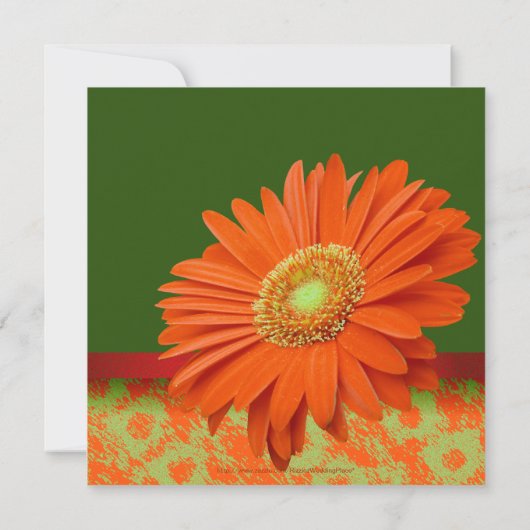 Preppy Groen Sinaasappel Gerbera Bloemen Huwelijks Kaart (Achterkant)