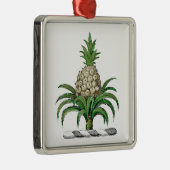 Preppy Heraldic Pineapple Coat of Arms Crest Metalen Ornament (Rechts)