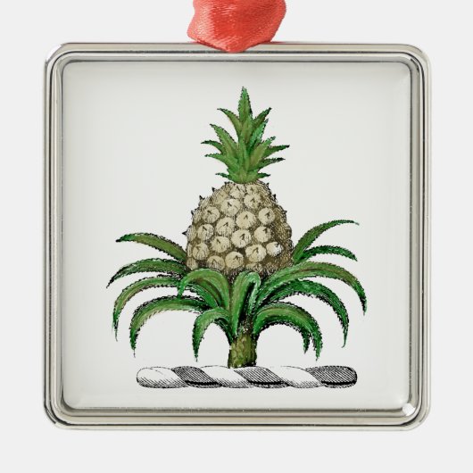 Preppy Heraldic Pineapple Coat of Arms Crest Metalen Ornament (Voorkant)