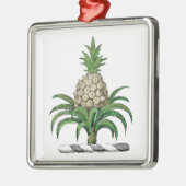 Preppy Heraldic Pineapple Coat of Arms Crest Metalen Ornament (Links)
