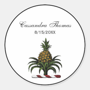 Preppy Heraldic Pineapple Crest Color RWT Ronde Sticker