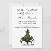 Preppy Heraldische Ananas Kuif Kleur WT Kaart (Voorkant)