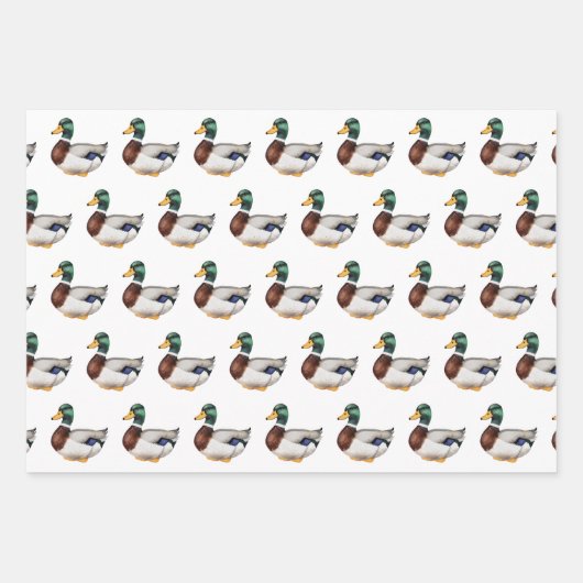 Preppy Mallard Duck Inpakpapier Vel (Voorkant)