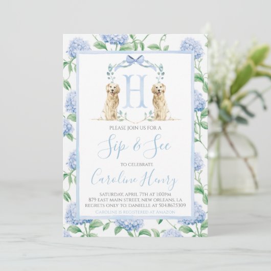 Preppy Southern Blue Boy Dog Sip & See Kaart (Staand voorkant)