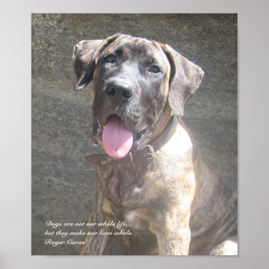 Presa Canario Pup Print (Voorkant)