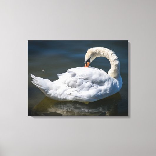 Presenteren witte zwaan uitzicht canvas print (Voorkant)