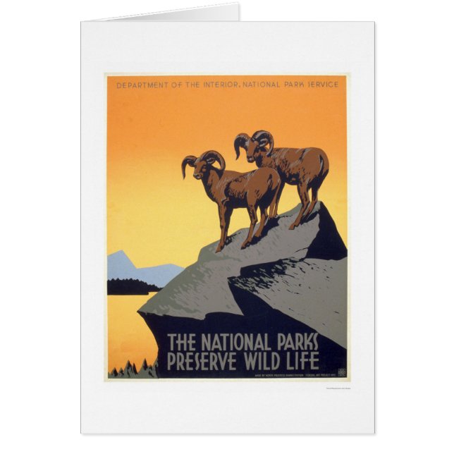 Preserve Wild Life 1939 WPA (Voorkant)