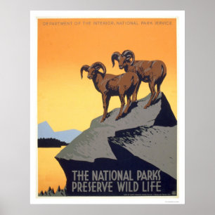 Preserve Wild Life 1939 WPA Poster
