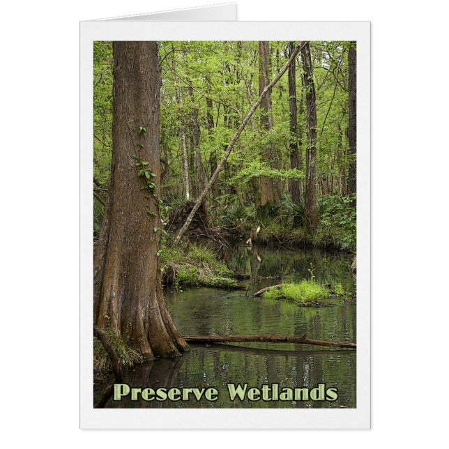 PreservWetlands (Voorkant)