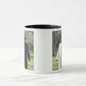 President Barack Obama en First Lady Michelle Mok (Midden)