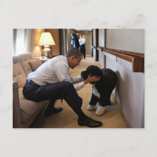 President Barack Obama met Bo Briefkaart