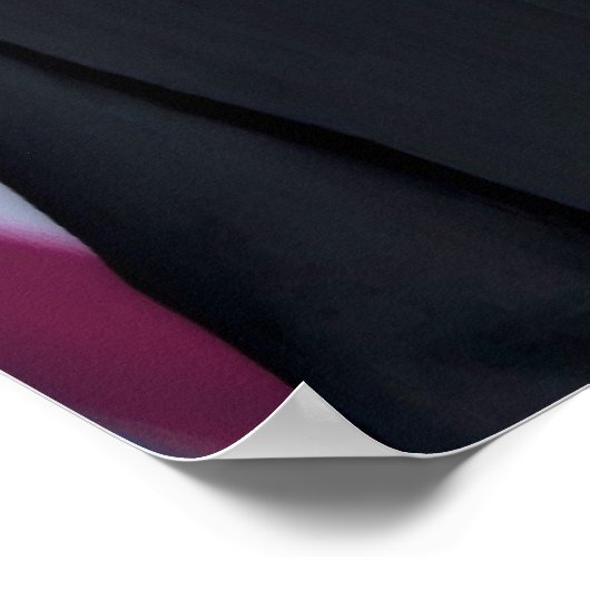 President Barack Obama Poster (Hoek)