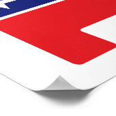 President Donald Trump GOP Elephant Hair Logo Poster (Hoek)