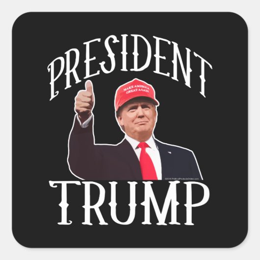 President Donald Trump Red Pet duikt op Vierkante Sticker (Voorkant)