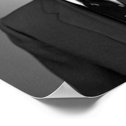 President Dwight Eisenhower Poster (Hoek)