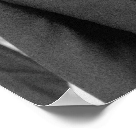  President George Herbert Walker Struik Poster (Hoek)