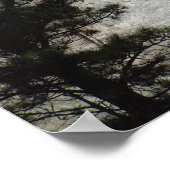 President George Washington, Mount Rushmore Poster (Hoek)