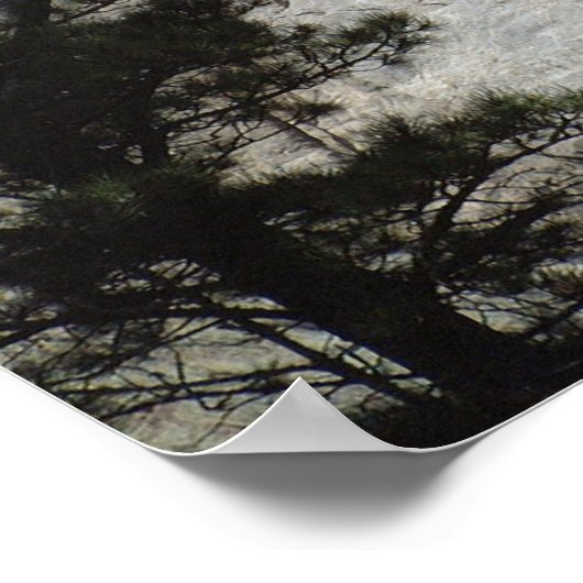 President George Washington, Mount Rushmore Poster (Hoek)