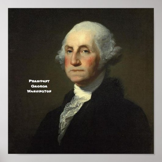 President George Washington Poster (Voorkant)