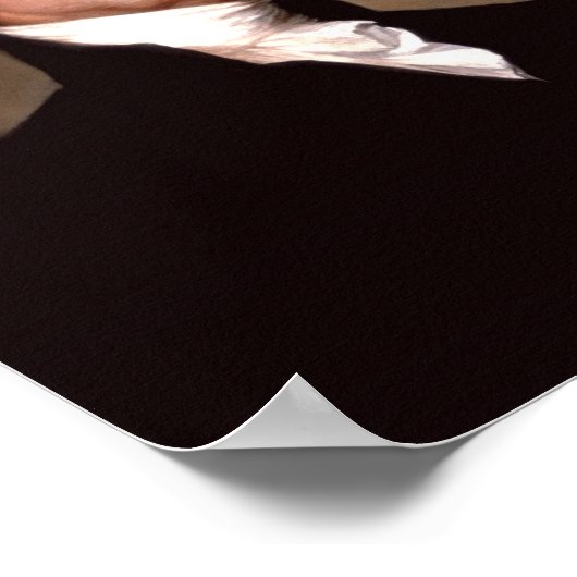 President James Monroe Poster (Hoek)