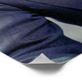 President John Fitzgerald Kennedy Poster (Hoek)