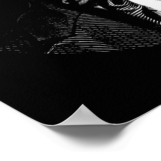 President John Tyler Graphic Poster (Hoek)