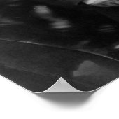 President Martin Van Buren Poster (Hoek)