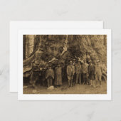 President Roosevelt en John Muir Beneath (Sepia) Briefkaart (Voorkant / Achterkant)