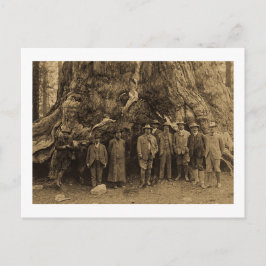 President Roosevelt en John Muir Beneath (Sepia) Briefkaart
