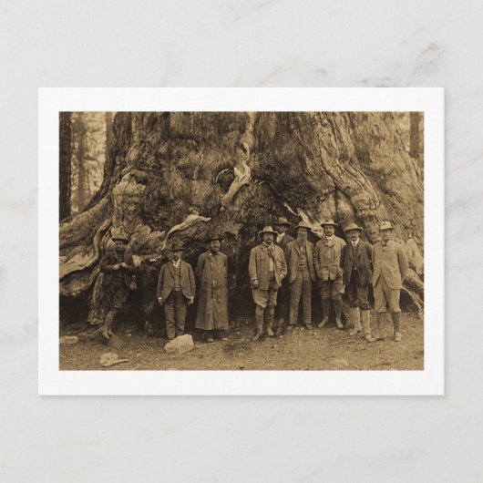 President Roosevelt en John Muir Beneath (Sepia) Briefkaart (Voorkant)