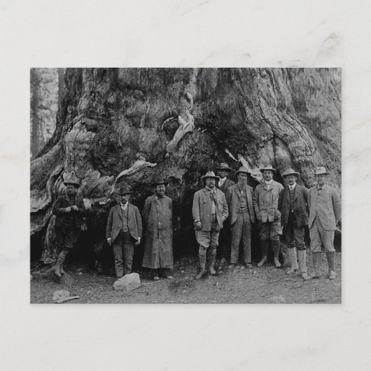 President Roosevelt en John Muir California 1903 Briefkaart (Voorkant)