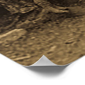 President Roosevelt en John Muir California Sepia Poster (Hoek)