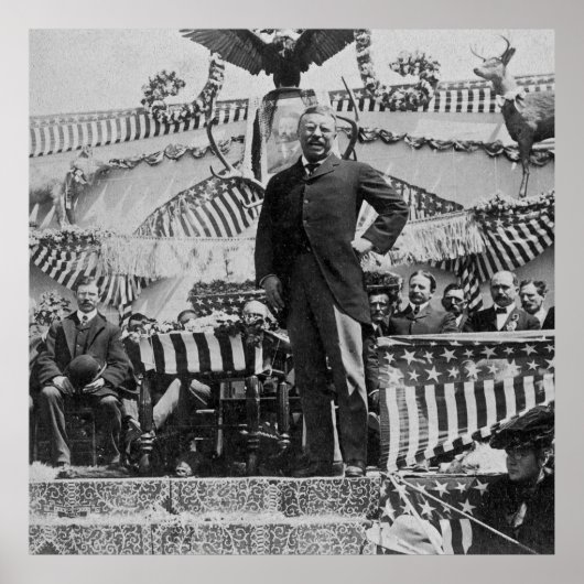 President Teddy Roosevelt in Wyoming 1903 Poster (Voorkant)