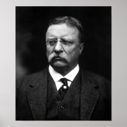 President Teddy Roosevelt Poster (Voorkant)