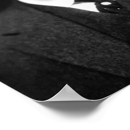 President Teddy Roosevelt Poster (Hoek)