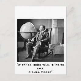 President Teddy Roosevelt  Witte Huis Briefkaart