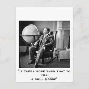 President Teddy Roosevelt  Witte Huis Briefkaart