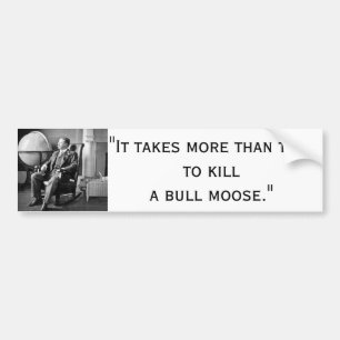 President Teddy Roosevelt Witte Huis Bumpersticker