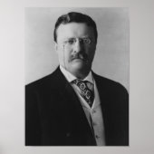 President Theodore Roosevelt - 1904 Poster (Voorkant)