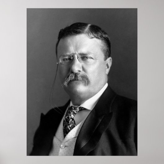 President Theodore Roosevelt Black & White Poster (Voorkant)