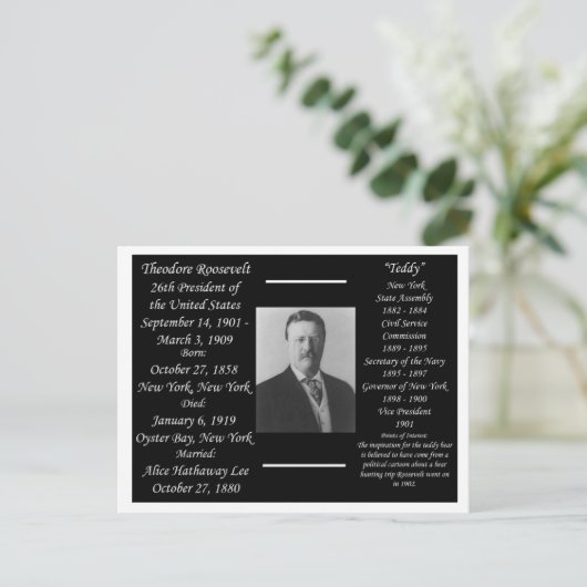 President Theodore Roosevelt Briefkaart (Staand voorkant)