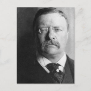  President Theodore Roosevelt Briefkaart