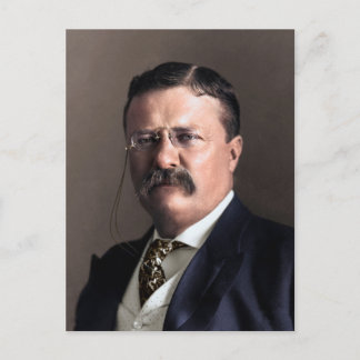 President Theodore Roosevelt Briefkaart