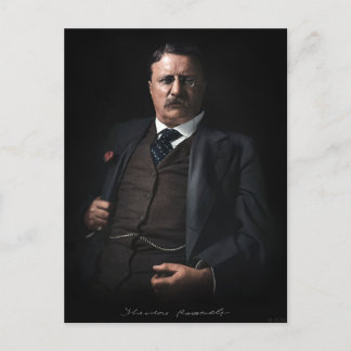 President Theodore Roosevelt Briefkaart