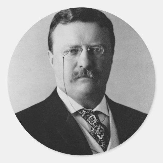 President Theodore Roosevelt Portret Ronde Sticker (Voorkant)